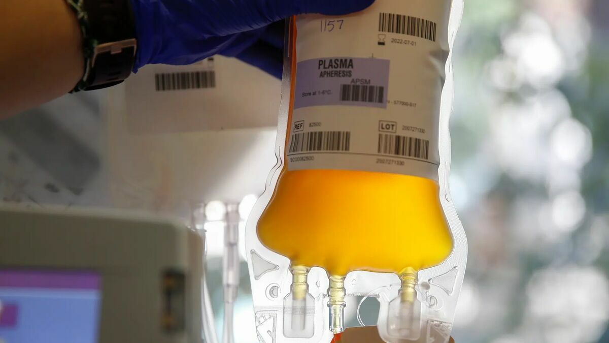 Дача плазмы — донорский плазмаферез